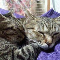 あゃ 会員画像