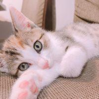 かずっぴー 会員画像