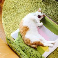 会員画像