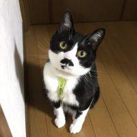 会員画像