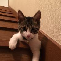 会員画像