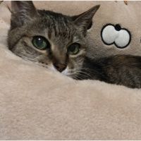 ruru0415 会員画像