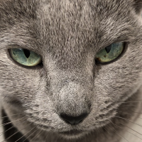 ムーンちゃんさん