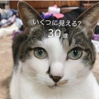 はるまるこさん