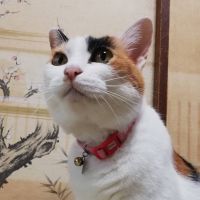 会員画像