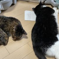 会員画像