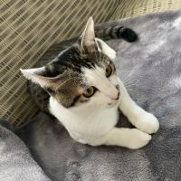 にしく 会員画像