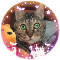 にゃあぁ363さん