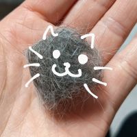 うさこのお母さん 会員画像