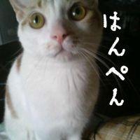 はんぺこ 会員画像