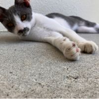 210ツキアカリ 会員画像