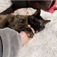 tama_nyan820さん