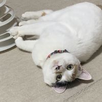 ふわふわ^_^ 会員画像