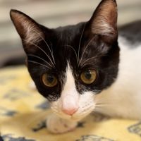 みなこみ 会員画像