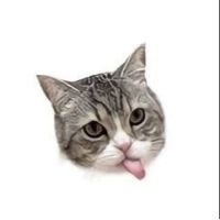 こぺる 会員画像