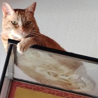 おーしゃんさん