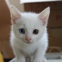 Tina228 会員画像