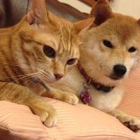 あおあお 会員画像