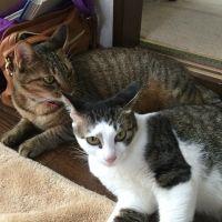 サクるん 会員画像