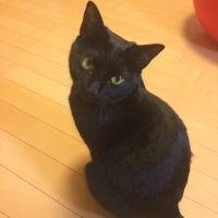 会員画像