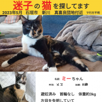 茉莉ーあ 会員画像