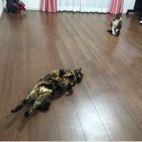 うしさん! 会員画像