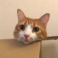 会員画像