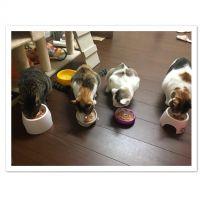 たけ。 会員画像