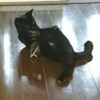 しあわせになあれ 会員画像