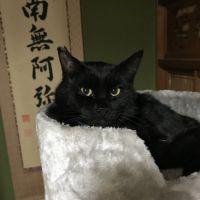 コウノのヒロアキ 会員画像