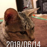 タジマ 会員画像