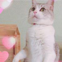 みるくんまま 会員画像
