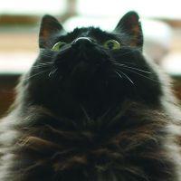 こばやし38 会員画像