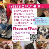 会員画像