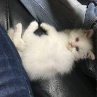 会員画像