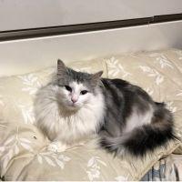 ドイマグロ 会員画像