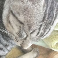 会員画像