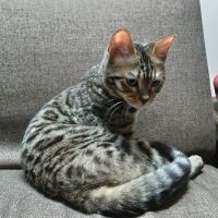 窓 会員画像