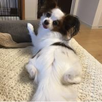 やわちゃん 会員画像