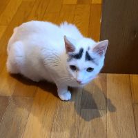 会員画像