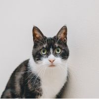 ののはる 会員画像