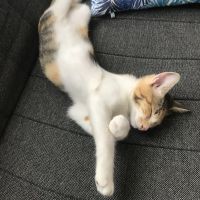 会員画像