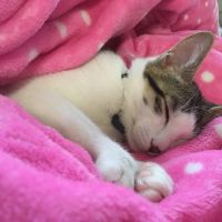 もなむーる 会員画像