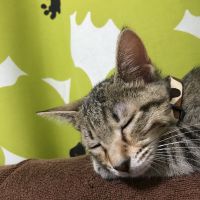 たけじ 会員画像