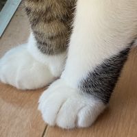 会員画像