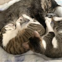 よってぃん 会員画像