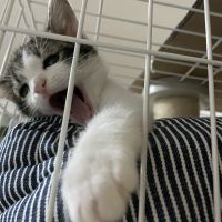 会員画像