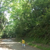 ponponzu 会員画像