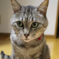 ノッチ0720 会員画像