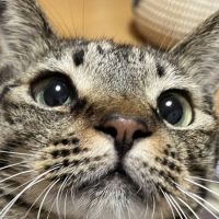 らぶままさん